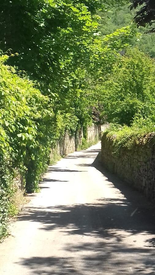 Gite 4 personnes au calme et tout confort Saint-Vallier  Extérieur photo